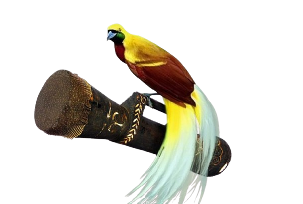 Gambar kecil slider